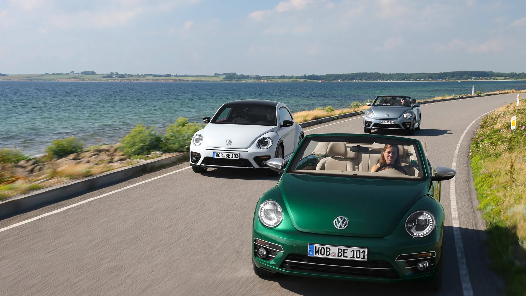 byebyebeetle
