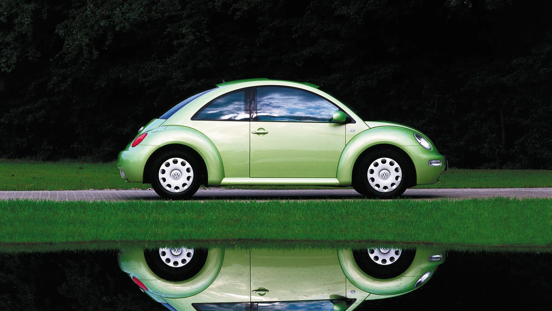 byebyebeetle